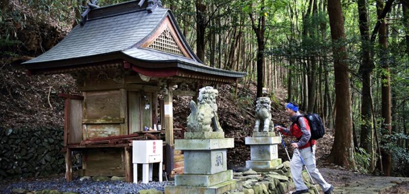 Kumano Kodo 